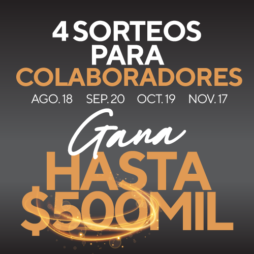 Sorteo de colaboradores